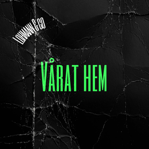 Vårat hem