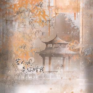 若人间是你赠我