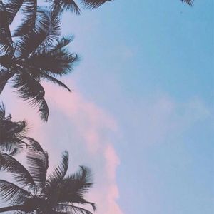 我的美丽feat.海洋Bo