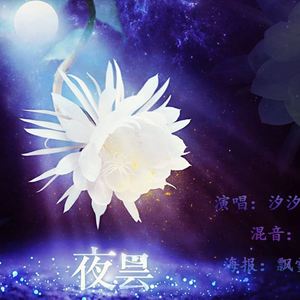 【小提琴】夜昙（Cover 冥月）