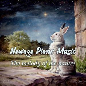 Vast expanse of land