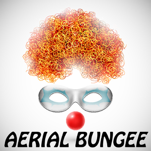 Aerial Bungee