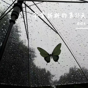 伞骨折断的第33天