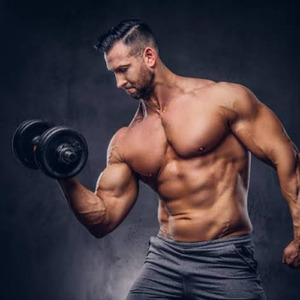 Muscle