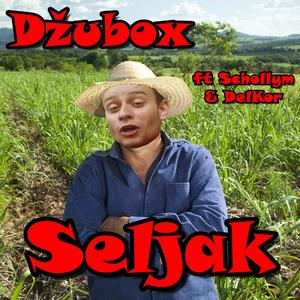 Seljak (feat. Schollym & Delkor)