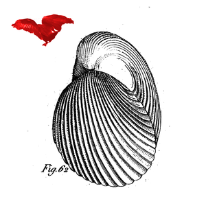 Koma Kaprifol (feat. Sofia Jernberg, Otis Sandsjö, Jonas Kullhammar, Mikko Innanen & Christian Lillinger)