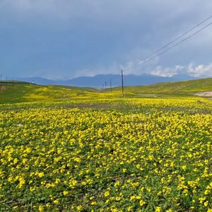 难看死了的故事