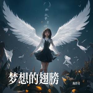 梦想的翅膀