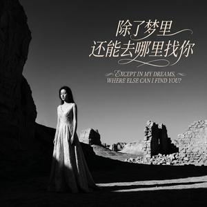 除了梦里还能去哪里找你