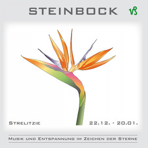 Stärken - Talente - Anlagen
