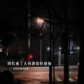 回忆成了大问题我好想你 (Remix)