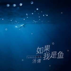 如果我是鱼