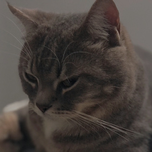 你是我心中一句惊叹（cover - 萧亚轩）