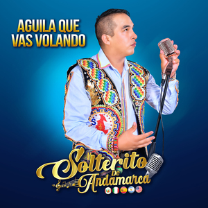 Aguila Que Vas Volando