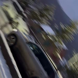 73+1(prod.by Morrow x FAS)