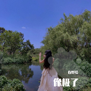 再也等不到你了是吗