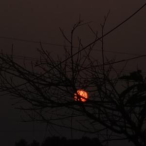 多情种（女声完整版）