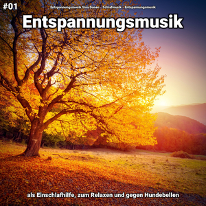 Schlafmusik