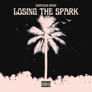 Losing the Spark (Saintless Remix)