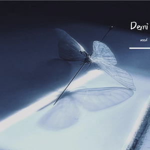 모르나요 （上）