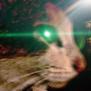 寂[Prod by 张杰峻]