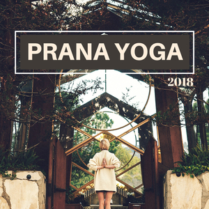 Bliss y Ligeras (Relax Total y Dormir Bien)