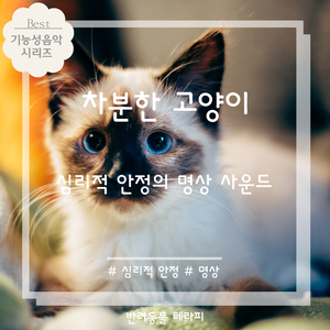 쇼팽 녹턴 Op.62 No.2 (고양이 자장가)