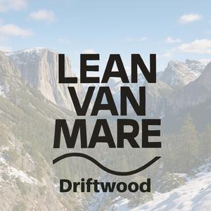 Driftwood (Radio Edit)