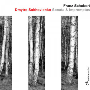 Impromptu in B flat Major - Andante