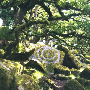 笼中鸟（Prod.prodby67）