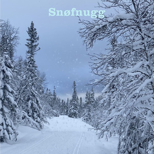 Snøfnugg