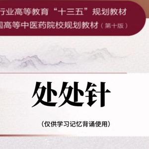 处处针（针灸版）