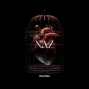 N.A.Z
