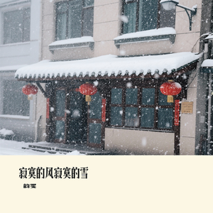 寂寞的风寂寞的雪