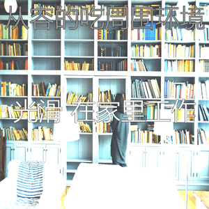 完美睡眠大气层