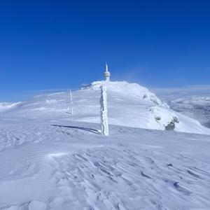 Ski