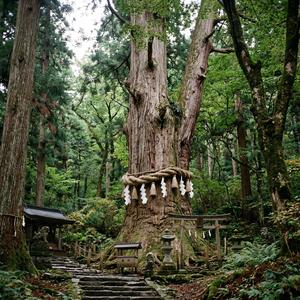 KATAKAMUNA（カタカムナ） (Version 04)