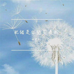 犯错是你惩罚是我