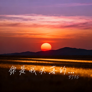 你是我失落的信号