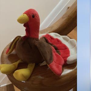 Zarah his government established