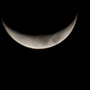 此刻只有我站上月亮