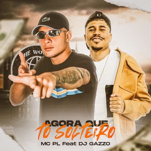 AGORA QUE TO SOLTEIRO