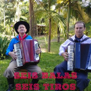 Seis Balas Seis Tiros