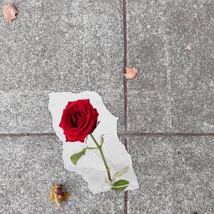 Rose from Concrete (feat. Blvck Achilles & Durazzo)