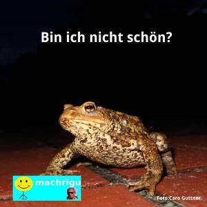 einige sind krank, einige gesünder