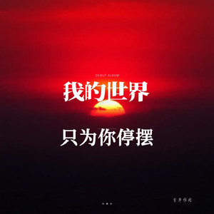 我的世界只为你停摆