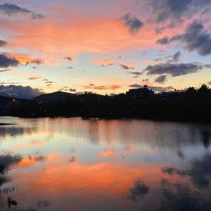 便利店的汽水有了香槟的气味