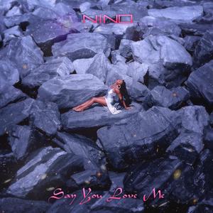 Say You Love Me