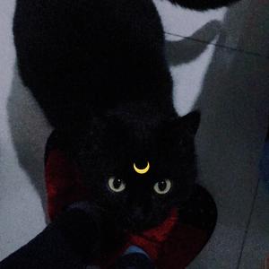 水从天上来（翻自：张碧晨/郑云龙）（翻自 张碧晨）