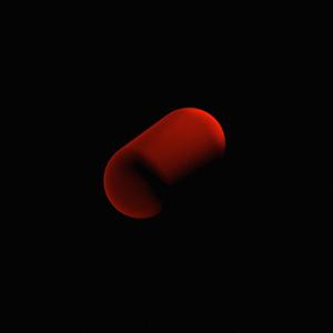 Bortolus